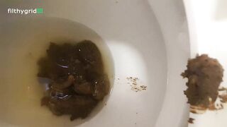 Sexy hot ass milf pooping in the toilet