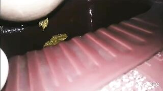 Amateur lady pooping in the toilet