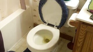 Naughty amateur lady pooping in the toilet