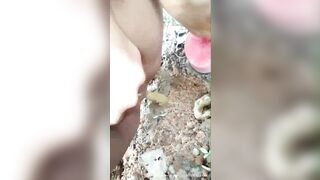 Thai chick spread legs and poops outdoor