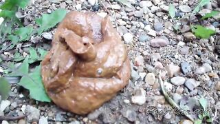 Stylish chick poops outdoor