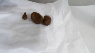 Blonde teen Lucy does a poop for you