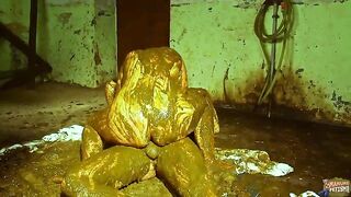 Now thats call shit fuck