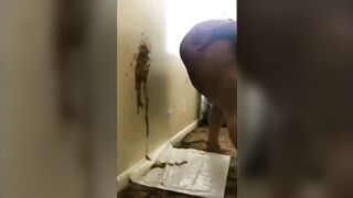 Shit in Reverse Pose Compilation