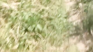 Girl pooping in the farm