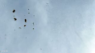 Lady pooping yellow load on her car