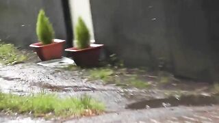 Mature lady poops in the backyard