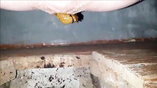 Closeup of pee and poop