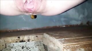 Closeup of pee and poop