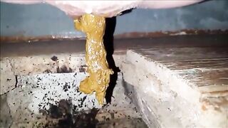 Closeup of pee and poop