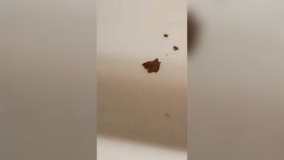 Dirty horny bitch enema poop show