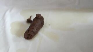 Seductive German hot bitch poops