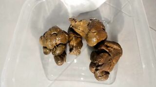 Bubble butt lady pooping in the plastic box