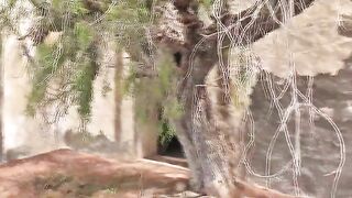 Scat MiaRoxxx pooping in an abandoned place