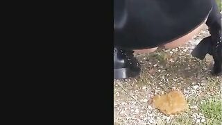 Milf outdoor shitting