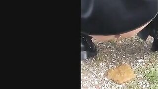 Milf outdoor shitting