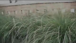 Amateur slutty milf pooping