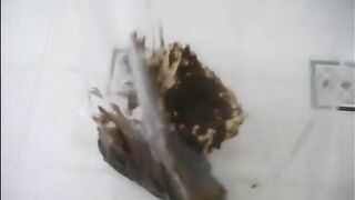 Selling poop on ebay