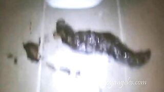 Sexy blonde slut long train poop