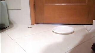 Pooping in her dinner plate