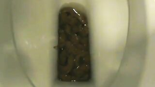 Girl takes a fat shit in the toilet