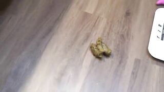 Hot bitch dildo fuck while pooping