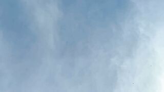 Nasty poop on the car windscreen