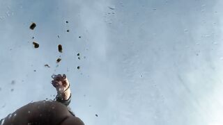 Nasty poop on the car windscreen