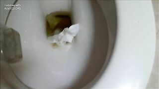 Amateur hot babe poops down in toilet