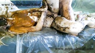 Pretty wife Alice getting drilled in scat fuck