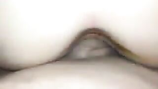 Chocolate Dipped Cock