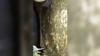 Sticky shit in the woods