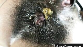 Hot Latina babe with thick hairy pussy poops hard