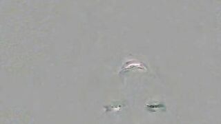 Pussy eating dude gets reward with messy load