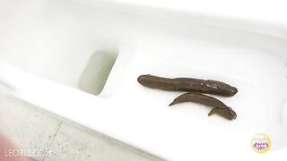 Smooth shiny turd from hot Japanese girl