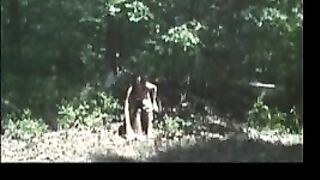 outdoor toilet deep in the woods