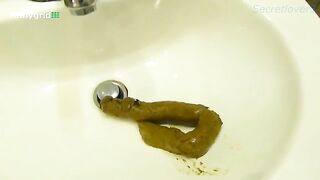 Sexy chick pooping in the sink