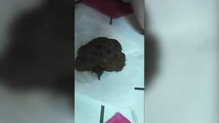 Cute brunette babe pooping at home