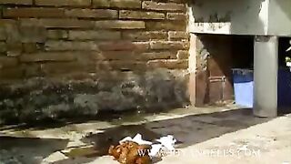 Pooping female ass view