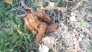 Big booty woman poops in the forest