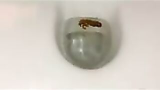 Dirty thick shit closeup