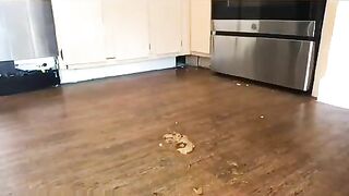 Gorgeous naked ebony girl poops