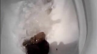 Beautiful blonde shits in the toilet