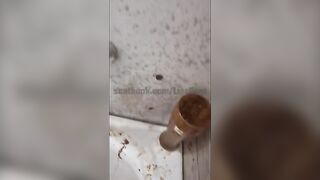 Behind the scenes with shit