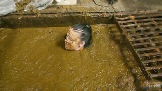 Betty completely submerges in dung