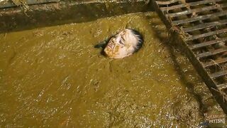 Betty completely submerges in dung