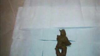 Seductive ebony milf shitting doggy style