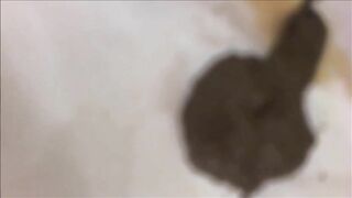 Shit and piss in the bathtub