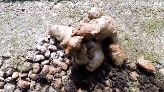 Redhead hot ass girl pooping outdoor