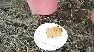 BBW amateur wife poops outdoor